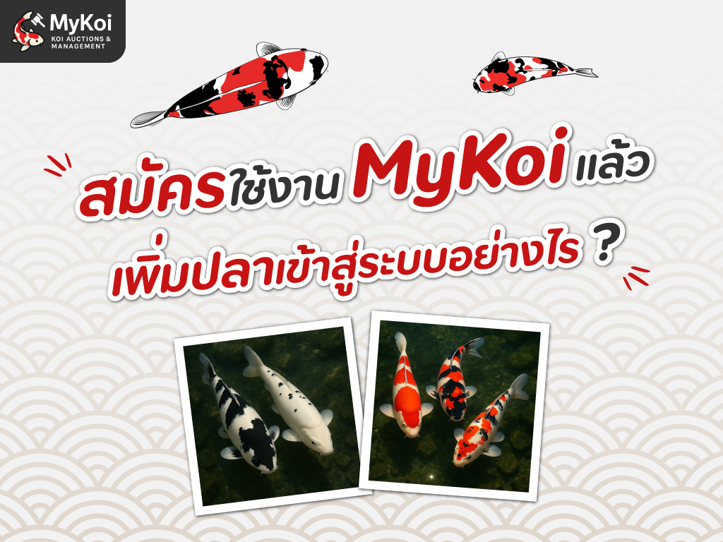 สมัครใช้งาน MyKoi แล้ว จะเพิ่มปลาเข้าสู่ระบบอย่างไร ?