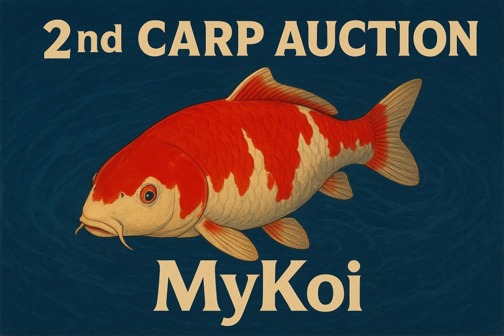 2nd Carp Auction